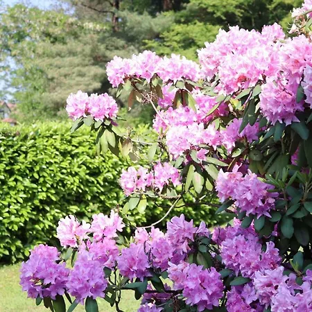 Apartmán Il Girasole