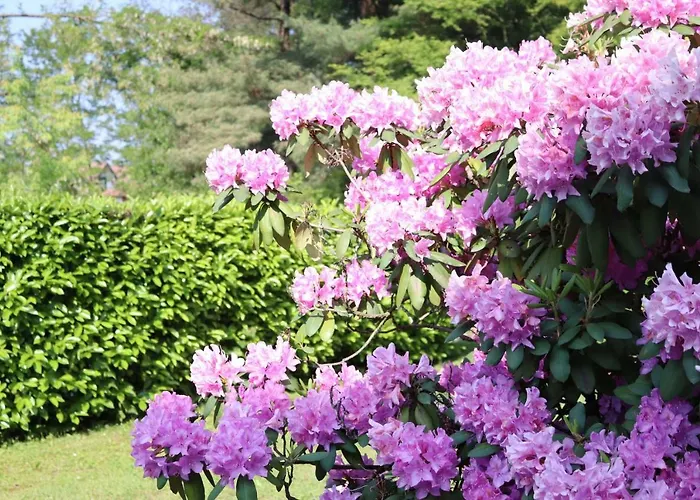 Апартаменты Il Girasole